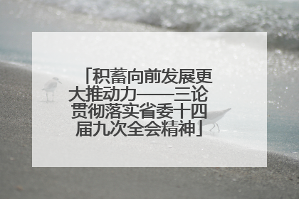 积蓄向前发展更大推动力——三论贯彻落实省委十四届九次全会精神