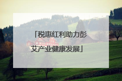 税惠红利助力彭艾产业健康发展