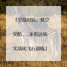 空战对抗、低空突防……来看这场实战化飞行训练