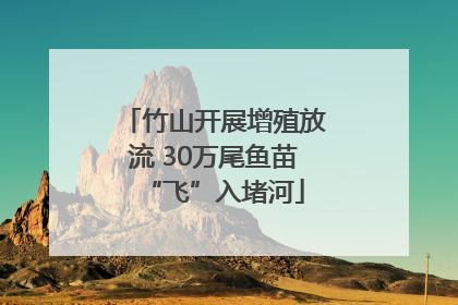 竹山开展增殖放流 30万尾鱼苗“飞”入堵河
