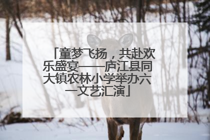 童梦飞扬，共赴欢乐盛宴——庐江县同大镇农林小学举办六一文艺汇演