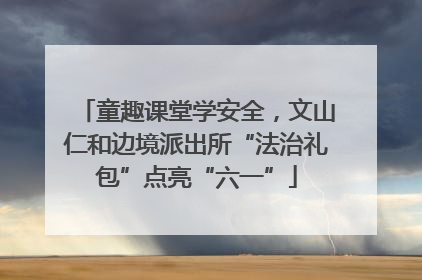 童趣课堂学安全，文山仁和边境派出所“法治礼包”点亮“六一”