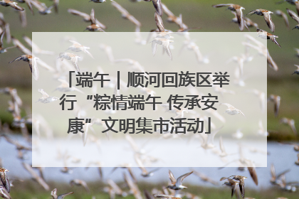 端午｜顺河回族区举行“粽情端午 传承安康”文明集市活动