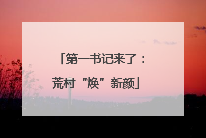 第一书记来了：荒村“焕”新颜