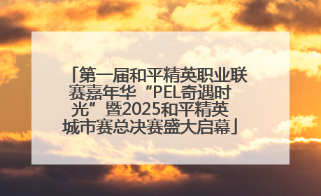 第一届和平精英职业联赛嘉年华“PEL奇遇时光”暨2025和平精英城市赛总决赛盛大启幕