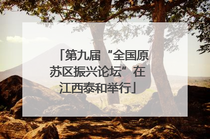 第九届“全国原苏区振兴论坛”在江西泰和举行