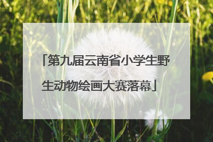 第九届云南省小学生野生动物绘画大赛落幕