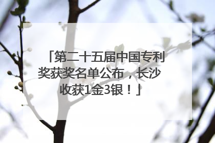 第二十五届中国专利奖获奖名单公布，长沙收获1金3银！