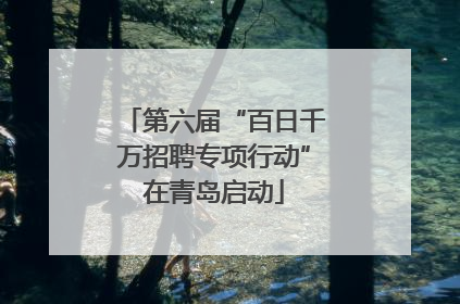 第六届“百日千万招聘专项行动”在青岛启动