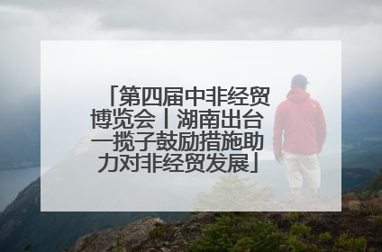 第四届中非经贸博览会丨湖南出台一揽子鼓励措施助力对非经贸发展