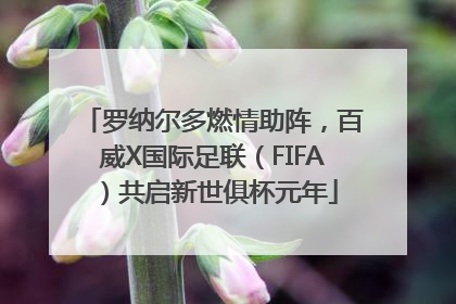 罗纳尔多燃情助阵，百威X国际足联（FIFA）共启新世俱杯元年
