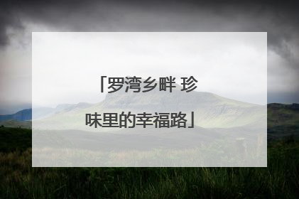 罗湾乡畔 珍味里的幸福路