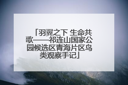 羽翼之下 生命共歌——祁连山国家公园候选区青海片区鸟类观察手记