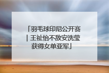 羽毛球印尼公开赛｜王祉怡不敌安洗莹 获得女单亚军