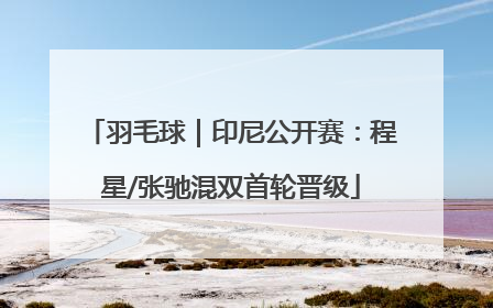 羽毛球｜印尼公开赛：程星/张驰混双首轮晋级