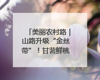美丽农村路｜山路升级“金丝带”！甘薯鲜桃坐上“快车”，开去大市场