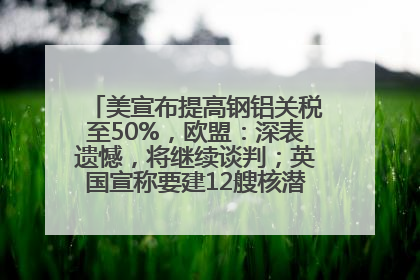 美宣布提高钢铝关税至50%，欧盟：深表遗憾，将继续谈判；英国宣称要建12艘核潜艇；马斯克最新发声：不想为美政府所做的一切承担责任丨早报