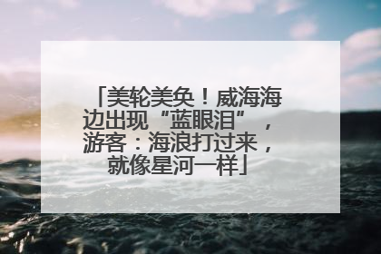 美轮美奂！威海海边出现“蓝眼泪”，游客：海浪打过来，就像星河一样