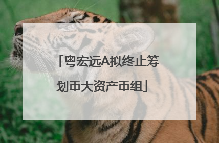 粤宏远A拟终止筹划重大资产重组