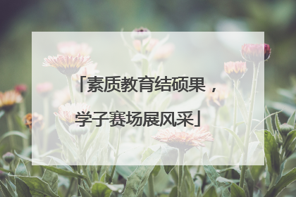 素质教育结硕果，学子赛场展风采