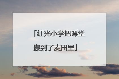 红光小学把课堂搬到了麦田里