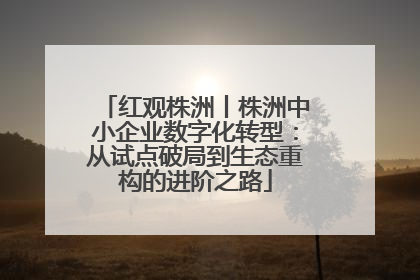 红观株洲丨株洲中小企业数字化转型：从试点破局到生态重构的进阶之路