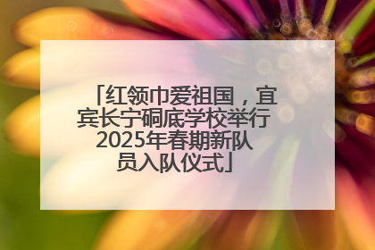 红领巾爱祖国，宜宾长宁硐底学校举行2025年春期新队员入队仪式