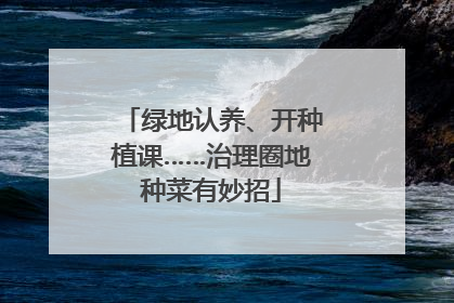 绿地认养、开种植课……治理圈地种菜有妙招