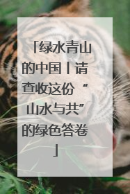 绿水青山的中国丨请查收这份“山水与共”的绿色答卷
