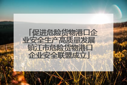 促进危险货物港口企业安全生产高质量发展 镇江市危险货物港口企业安全联盟成立