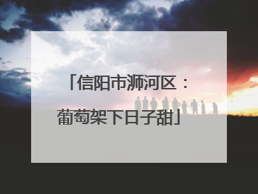 信阳市浉河区：葡萄架下日子甜