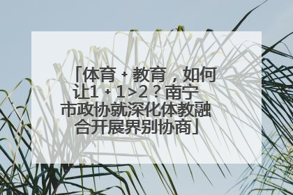 体育﹢教育，如何让1﹢1>2？南宁市政协就深化体教融合开展界别协商