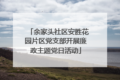 余家头社区安胜花园片区党支部开展廉政主题党日活动
