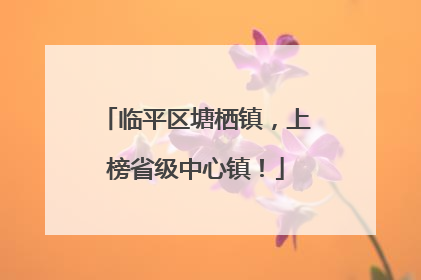 临平区塘栖镇，上榜省级中心镇！