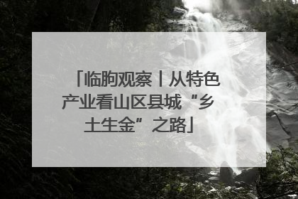 临朐观察丨从特色产业看山区县城“乡土生金”之路
