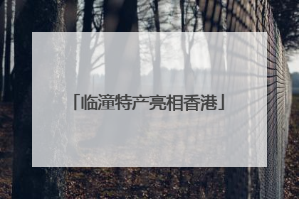 临潼特产亮相香港