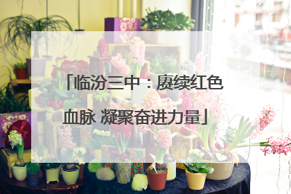 临汾三中：赓续红色血脉 凝聚奋进力量
