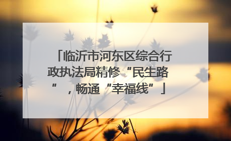 临沂市河东区综合行政执法局精修“民生路”，畅通“幸福线”