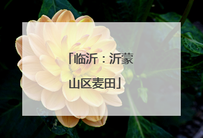 临沂：沂蒙山区麦田