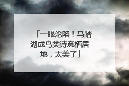 一眼沦陷！马踏湖成鸟类诗意栖居地，太美了