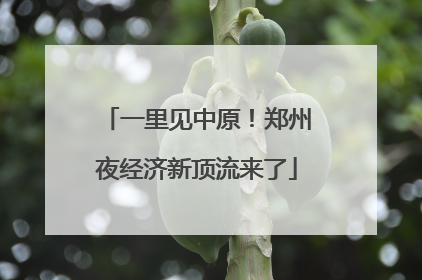 一里见中原！郑州夜经济新顶流来了