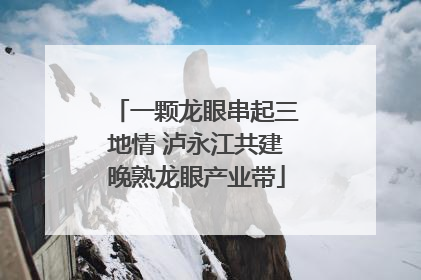 一颗龙眼串起三地情 泸永江共建晚熟龙眼产业带