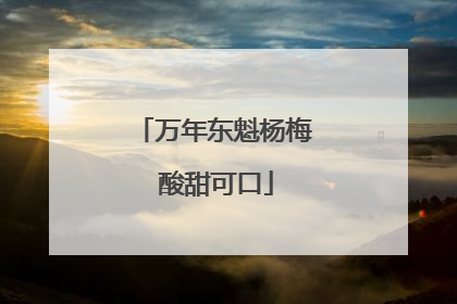 万年东魁杨梅 酸甜可口