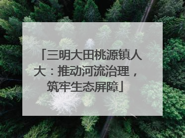三明大田桃源镇人大：推动河流治理，筑牢生态屏障