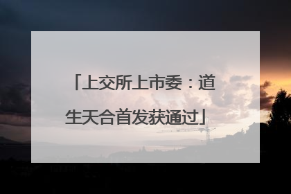 上交所上市委：道生天合首发获通过