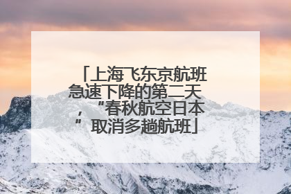 上海飞东京航班急速下降的第二天，“春秋航空日本”取消多趟航班