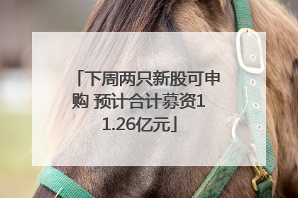 下周两只新股可申购 预计合计募资11.26亿元