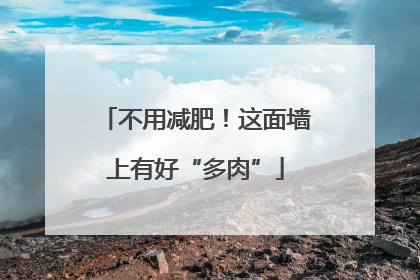 不用减肥！这面墙上有好“多肉”