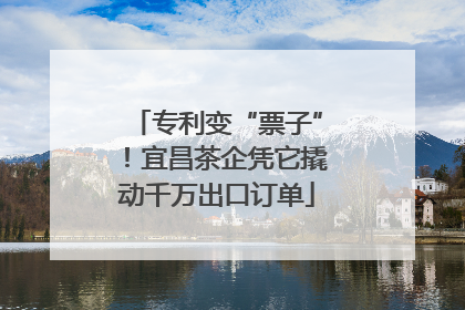 专利变“票子”！宜昌茶企凭它撬动千万出口订单