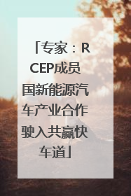 专家：RCEP成员国新能源汽车产业合作驶入共赢快车道